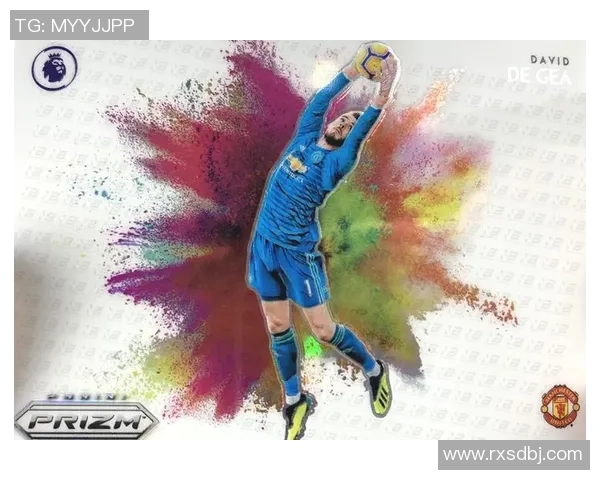 帕尼尼球星卡足球收藏册：珍藏经典瞬间与全球顶级球员荣耀